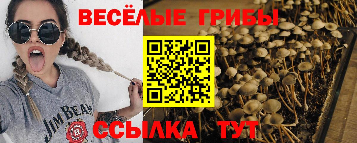 Ахтубинск  магазин продажи наркотиков  Вход с VPN  Галлюциногенные грибы мицелий 